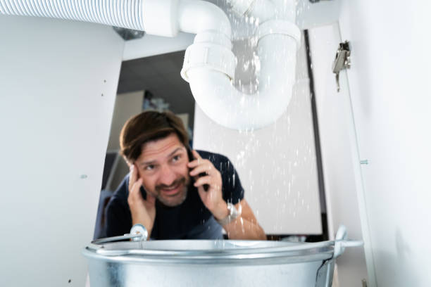 Best Clogged Drain Plumber  in Monongahela, PA